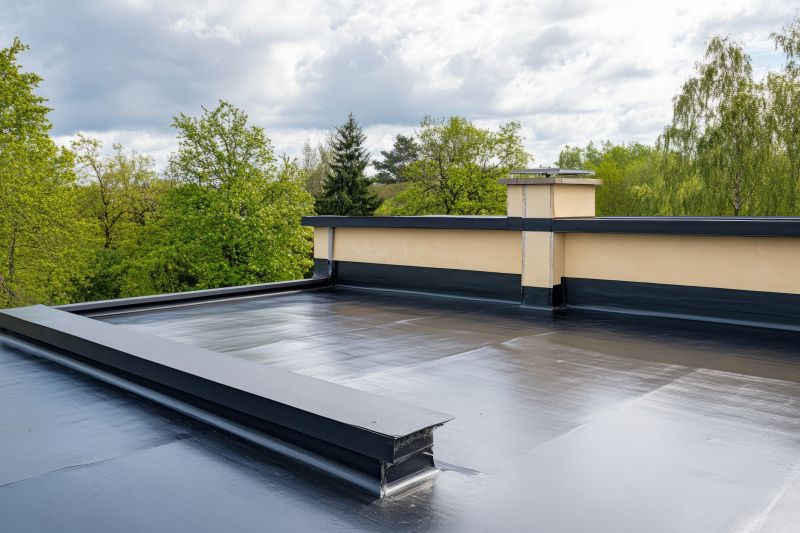 Bitumen Roof Repair