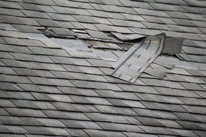Roof Repair Work